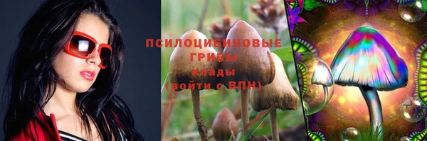 PSILOCYBIN Богородицк